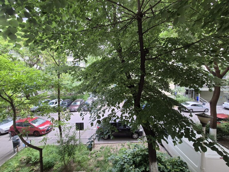 Colentina, Doamna Ghica,